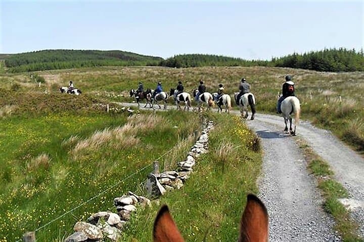 Dirt Trek Horse Ride — Lisdoonvarna Countryside & Cliffs of Moher Views photo 6