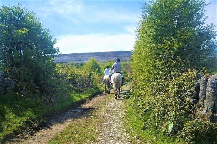 Dirt Trek Horse Ride — Lisdoonvarna Countryside & Cliffs of Moher Views photo 4
