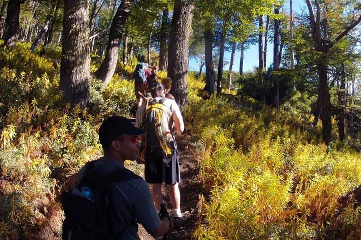 Cerro Bella Vista Hike: Full-Day Trail from Bariloche with Panoramic Andean Views photo 2