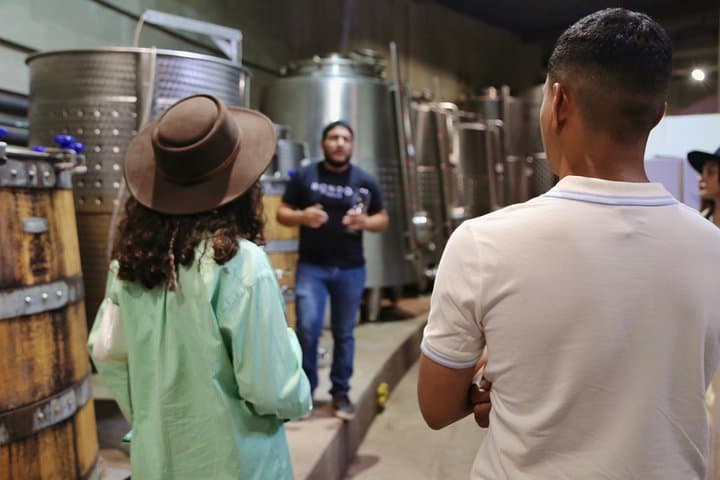 Valle de Guadalupe — Rondo del Valle Wine Tasting, Lavender Tour & Garden Picnic photo 4