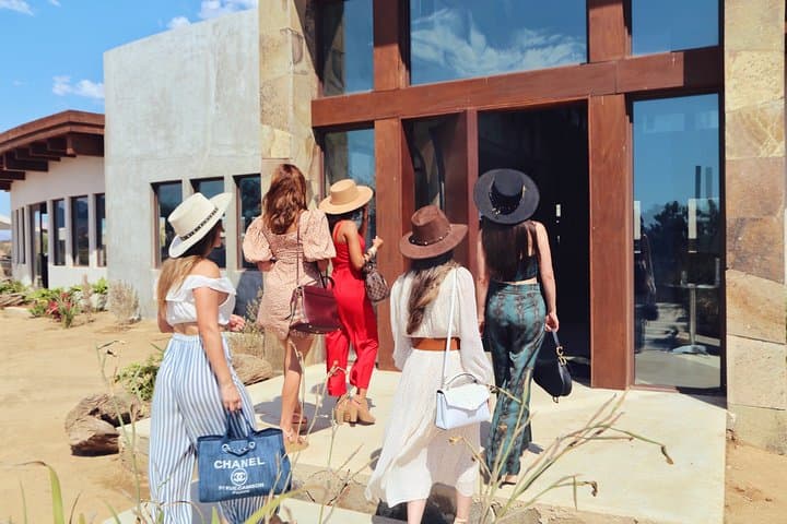 Valle de Guadalupe — Rondo del Valle Wine Tasting, Lavender Tour & Garden Picnic photo 1