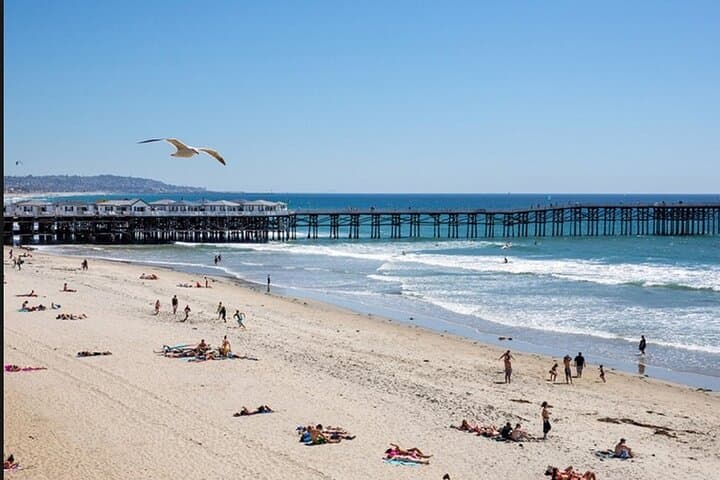 San Diego Group Surf Lesson — Learn to Ride La Jolla Shores Waves photo 6