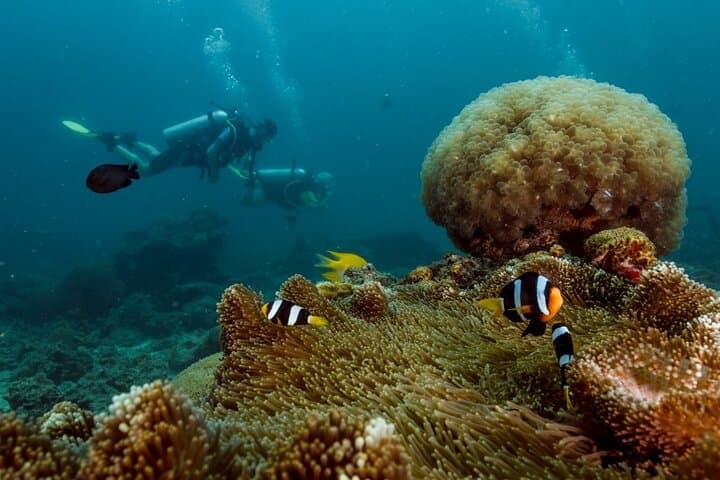 PADI Open Water Diver Course on Koh Lipe — Learn to Dive in Thailand's Andaman Sea photo 4