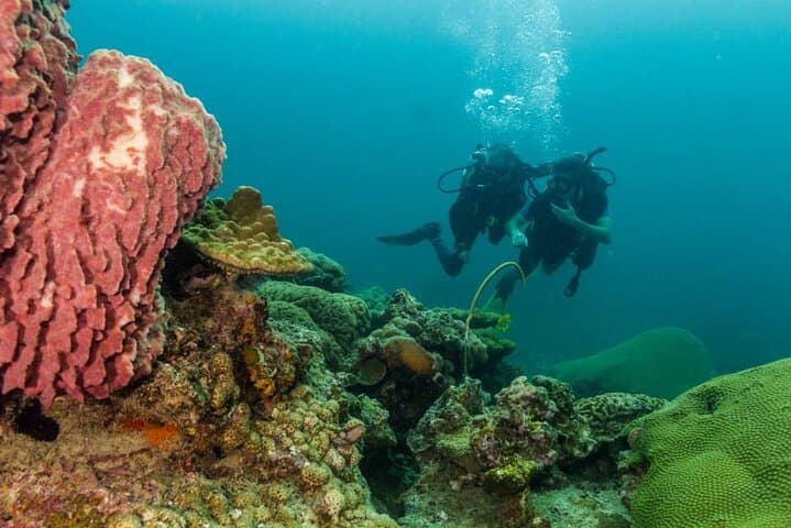 Discover SCUBA Diving in Koh Lipe: Introductory Dives on Andaman Reefs