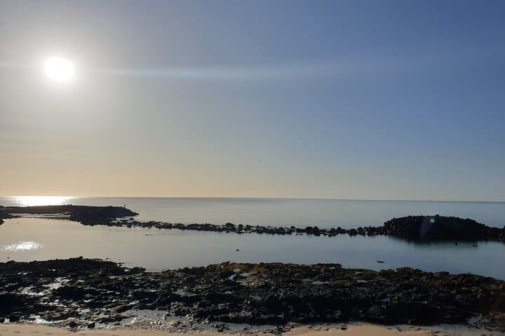 Scuba Diving Baptism in Costa Teguise — Beginner Dives on Lanzarote's Shallow Reefs photo 3