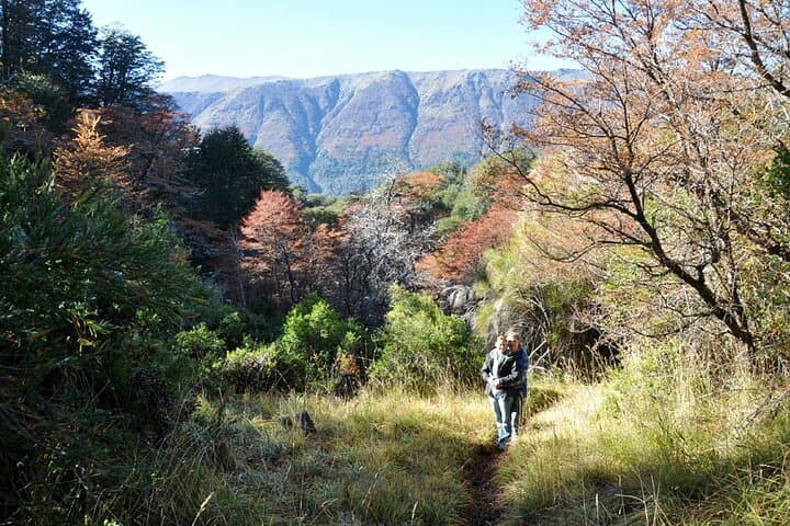Kayak and Hike Lago Mascardi: Full-Day Private Tour from Bariloche photo 5