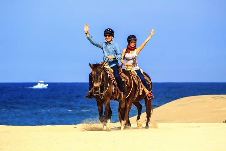Cabo Horseback Riding on Migriño Beach: Gallop Along Baja's Pacific Coast