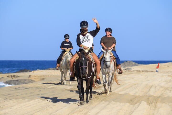 Cabo Horseback Riding on Migriño Beach: Gallop Along Baja's Pacific Coast photo 3