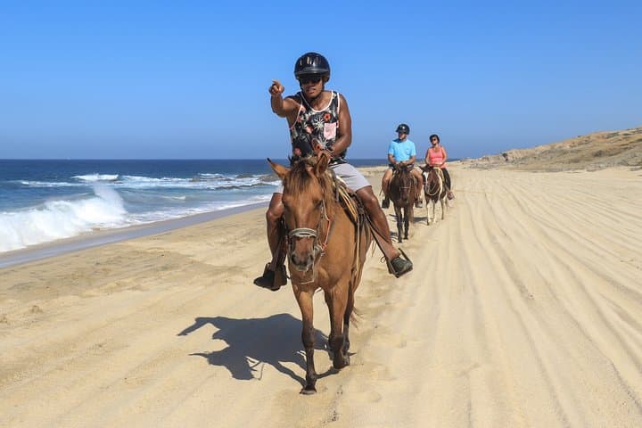 Cabo Horseback Riding on Migriño Beach: Gallop Along Baja's Pacific Coast photo 5