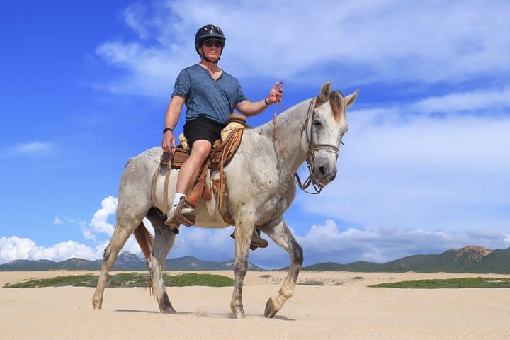 Cabo Horseback Riding on Migriño Beach: Gallop Along Baja's Pacific Coast photo 6