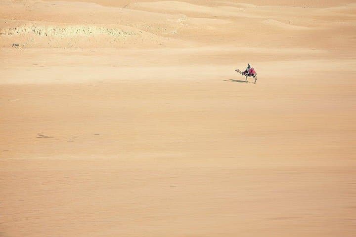 Sunset Camel and Horse Safari at Giza Pyramids: Private Desert Ride with Sunset Views photo 3
