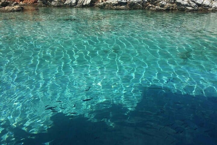 Bodrum Daily Boat Trip with Lunch: 7-Hour Aegean Blue Cruise photo 4