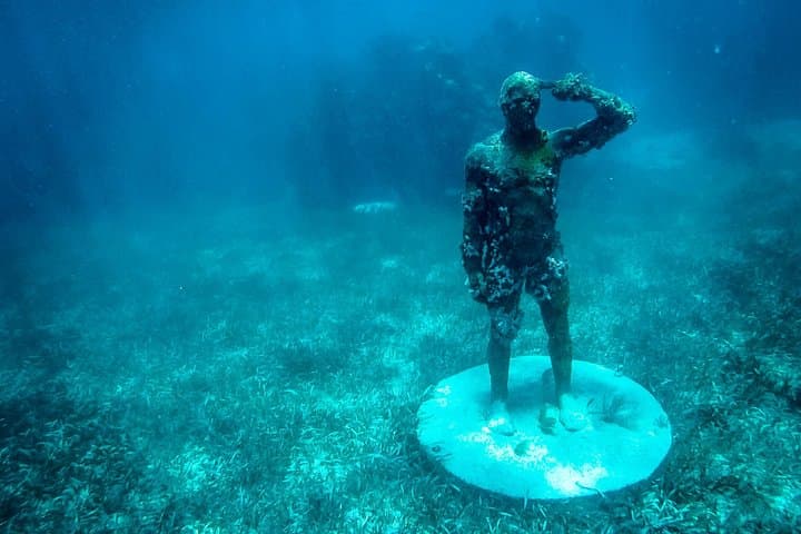 Speedboat Jungle Tour in Cancun: Nichupté Lagoon & Punta Nizuc Snorkel photo 6
