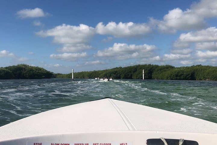 Speedboat Jungle Tour in Cancun: Nichupté Lagoon & Punta Nizuc Snorkel