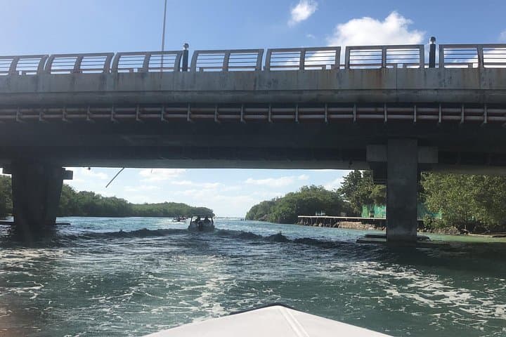 Speedboat Jungle Tour in Cancun: Nichupté Lagoon & Punta Nizuc Snorkel photo 4