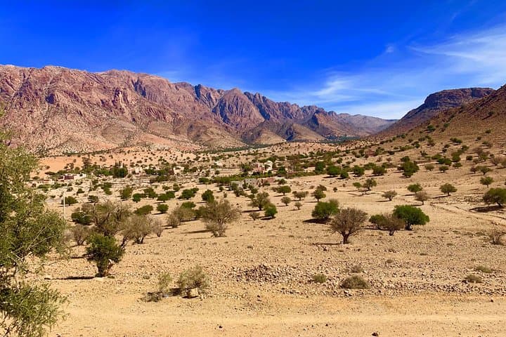 10-Day Private Morocco Tour from Marrakech: Desert Dunes, Kasbahs & Atlas Passes photo 4