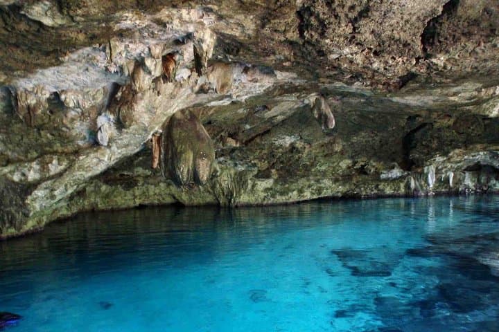 Private Cenote & Cave Tour in Playa del Carmen — Swim Ancient Fossils at Sac Pool photo 3