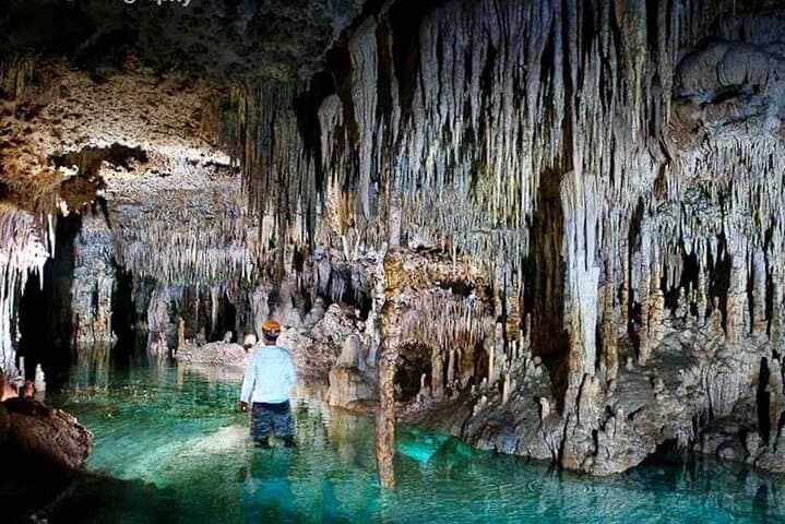 Private Cenote & Cave Tour in Playa del Carmen — Swim Ancient Fossils at Sac Pool photo 1