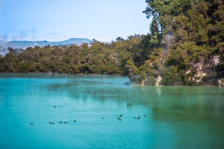 Private Rotorua Geothermal & Māori Cultural Day Tour from Auckland photo 6