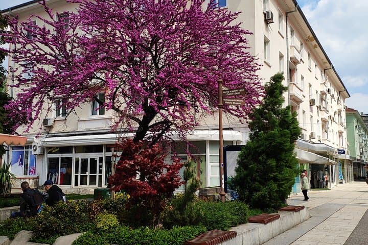 Self-Guided Stara Zagora Walking Tour — Thracian Valley Sights photo 3