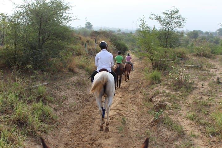 Aravali Horseback Trail: 2-Hour Guided Ride Through Gurgaon Hills photo 4