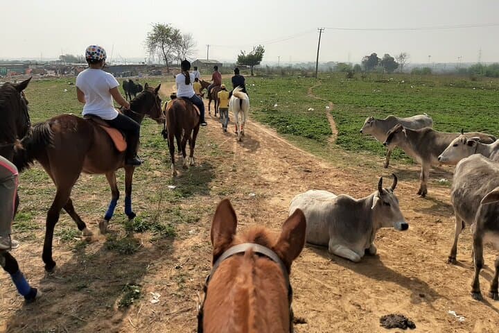 Aravali Horseback Trail: 2-Hour Guided Ride Through Gurgaon Hills photo 5