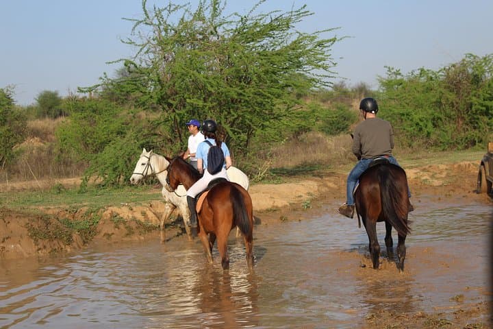 Aravali Horseback Trail: 2-Hour Guided Ride Through Gurgaon Hills photo 6