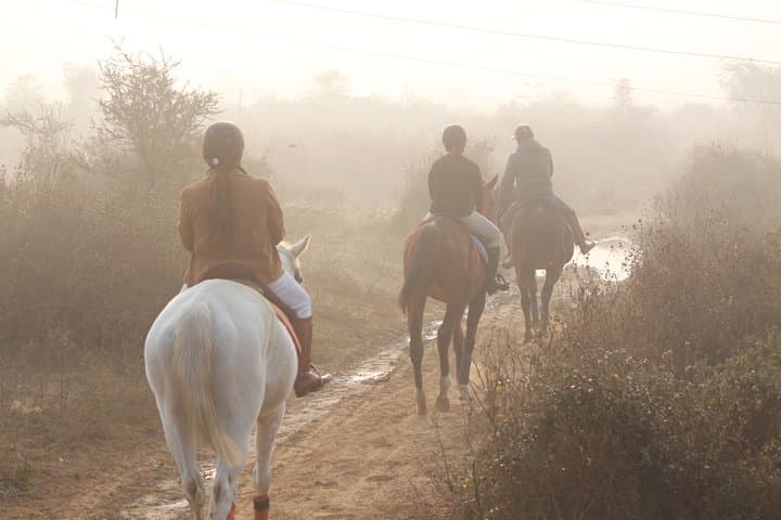 Aravali Horseback Trail: 2-Hour Guided Ride Through Gurgaon Hills photo 2