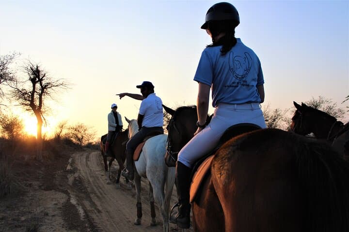 Aravali Horseback Trail: 2-Hour Guided Ride Through Gurgaon Hills