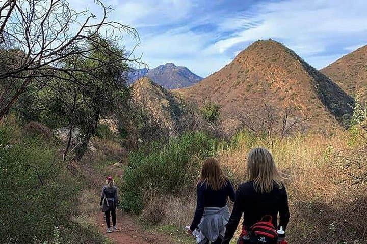 Guided Hiking in Ojai Valley — Los Padres Day Hikes with Local Guides photo 3