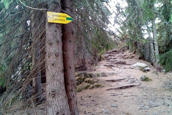 Pamporovo & Rhodope Mountain Biking: Rent a Bike + E-Guide photo 5