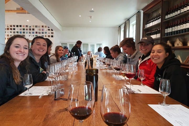 Full-Day Cape Winelands Wine Tour: Stellenbosch & Franschhoek Tasting Journey photo 2