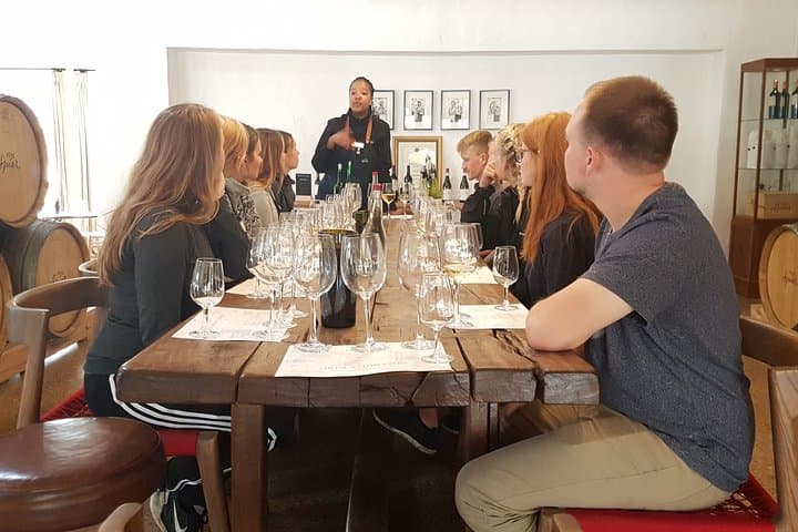 Full-Day Cape Winelands Wine Tour: Stellenbosch & Franschhoek Tasting Journey photo 3