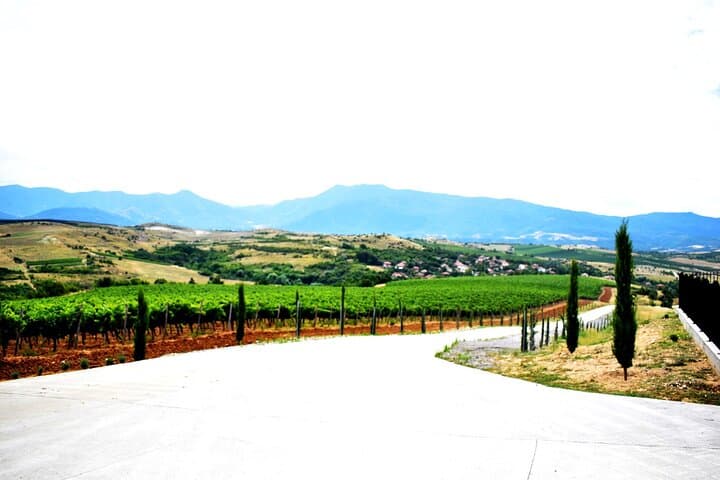 Rupel Winery Wine Tastings & Private Tours Near Sofia, Bulgaria photo 3