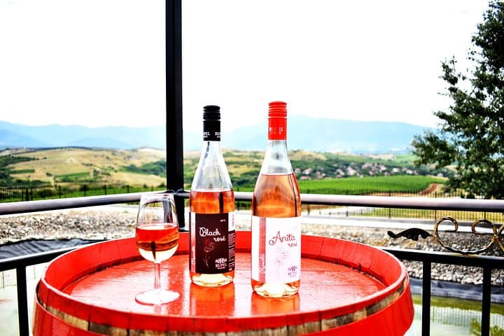 Rupel Winery Wine Tastings & Private Tours Near Sofia, Bulgaria photo 5