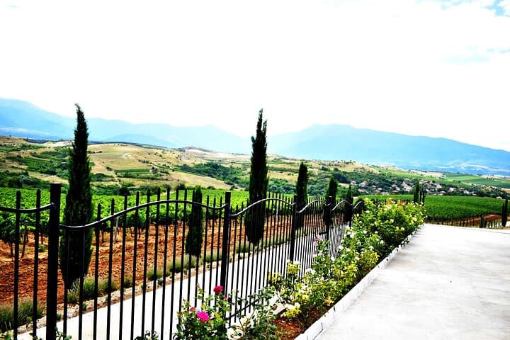Rupel Winery Wine Tastings & Private Tours Near Sofia, Bulgaria photo 6