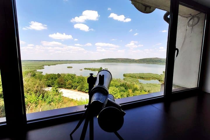 Self-Guided Birdwatching at Srebarna Reserve — Pelicans, Reeds, and Danube Skies photo 2
