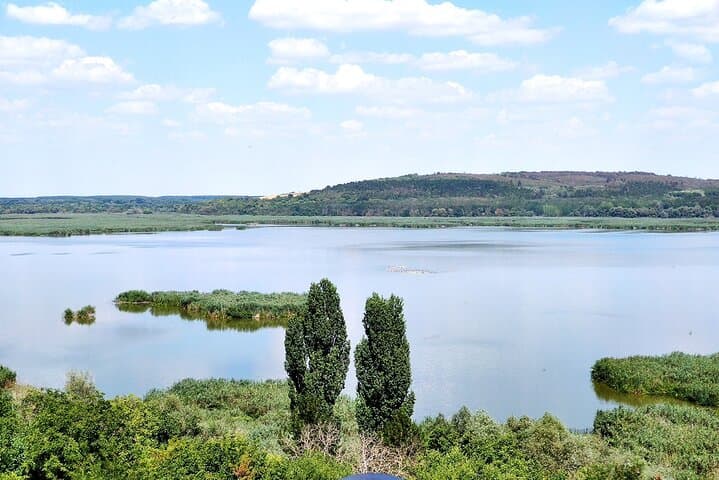 Private Birdwatching from Sofia: Dragoman Marsh, Vitosha & City Parks photo 4