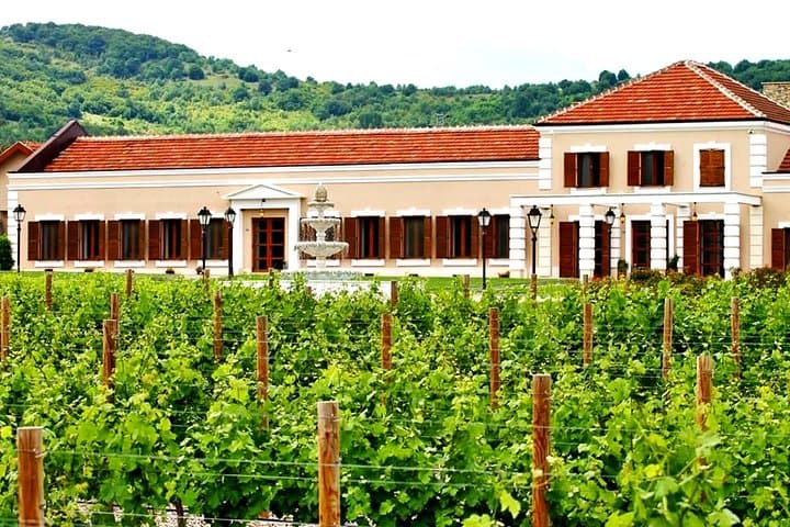 Midalidare Estate Wine Tasting in Bulgaria's Thracian Valley