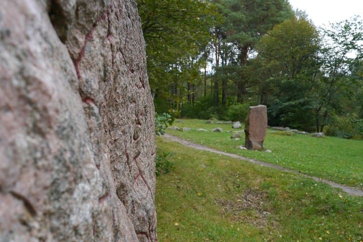 Private Viking Tour by the Lake & Swedish Forest Walk at Arkils Tingstad — 90-Minute Experience photo 3