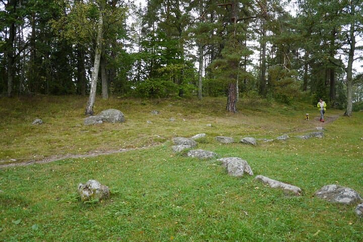 Private Viking Tour by the Lake & Swedish Forest Walk at Arkils Tingstad — 90-Minute Experience photo 4
