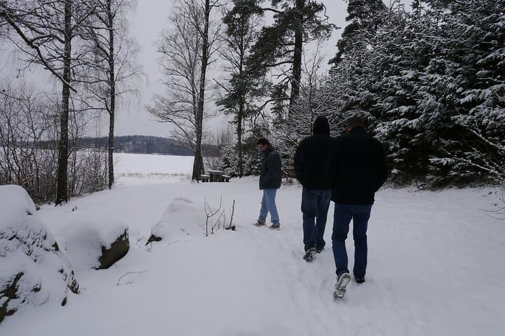 Private Viking Tour by the Lake & Swedish Forest Walk at Arkils Tingstad — 90-Minute Experience photo 5