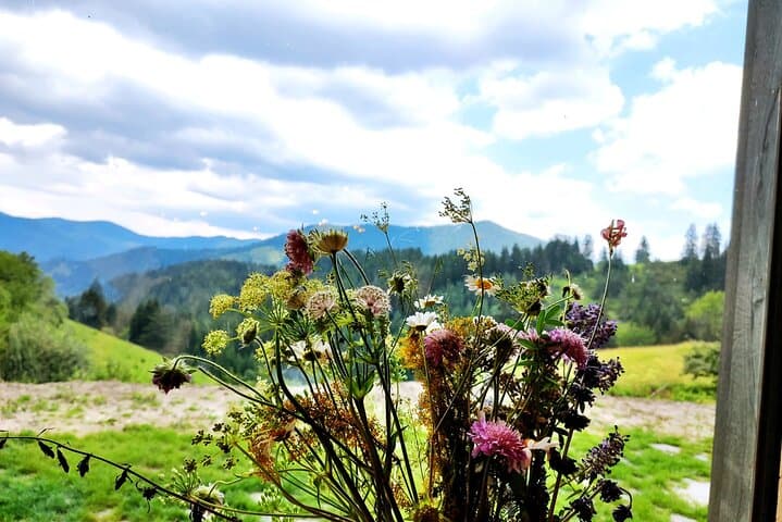 Explore Gela: Multi-Activity Outdoor Adventures in Bulgaria's Rila Foothills photo 6