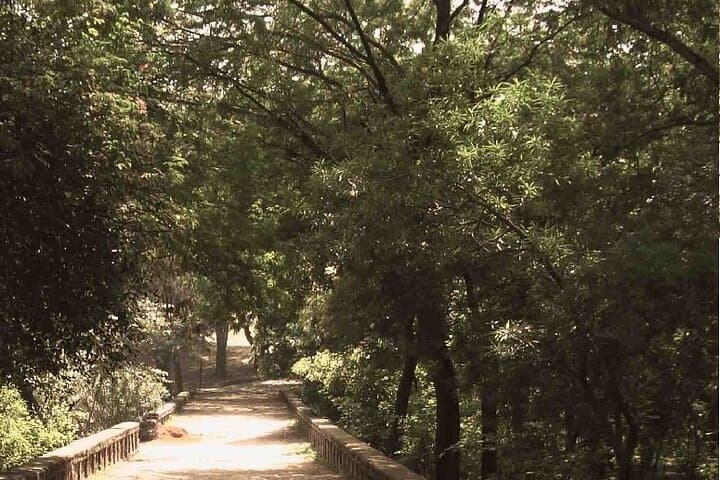 Walking Through Delhi's Layers: Qutub Minar, Mehrauli Park & Chhatarpur Temple photo 4