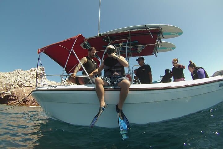 Espiritu Santo Island Sea Lions & Paddleboard Day Trip from La Paz photo 3