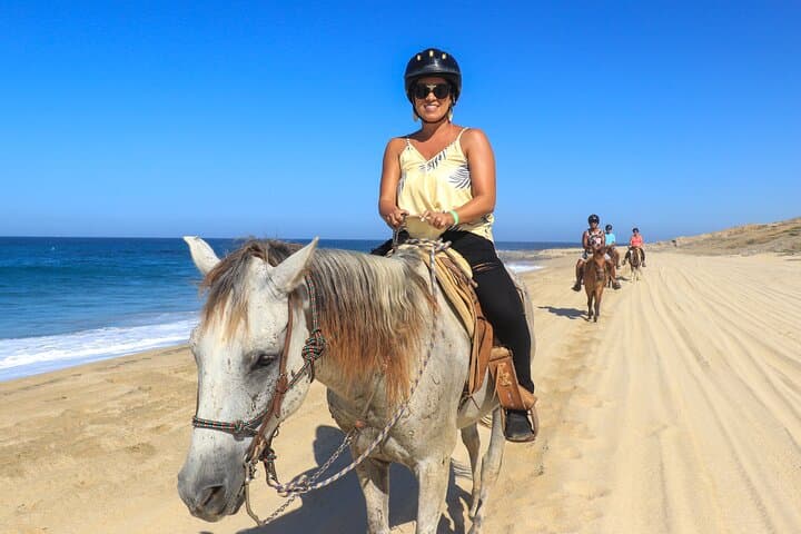 2-Hour Beach & Desert Horseback Ride in Cabo with Animal Sanctuary Visit
