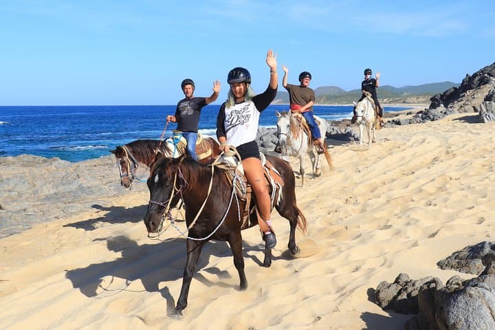 2-Hour Beach & Desert Horseback Ride in Cabo with Animal Sanctuary Visit photo 2