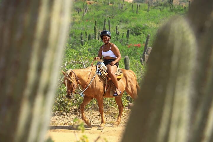 2-Hour Beach & Desert Horseback Ride in Cabo with Animal Sanctuary Visit photo 3