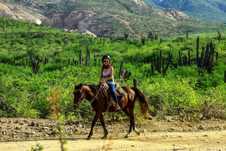 2-Hour Beach & Desert Horseback Ride in Cabo with Animal Sanctuary Visit photo 4