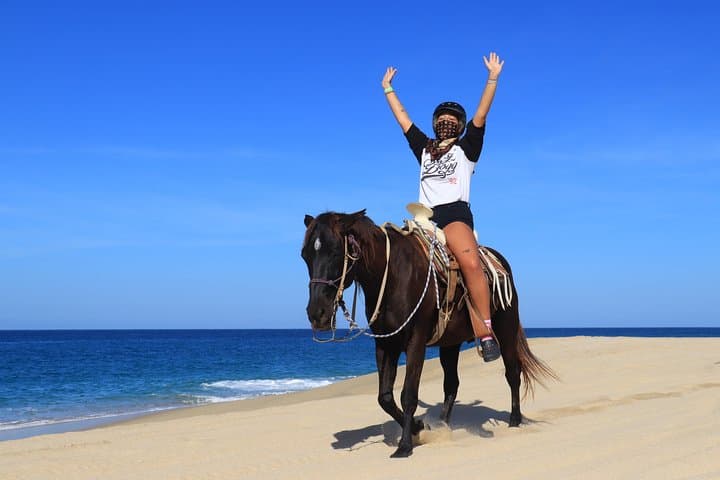 2-Hour Beach & Desert Horseback Ride in Cabo with Animal Sanctuary Visit photo 6